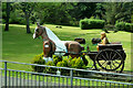 Horse and Carriage near Lews Castle