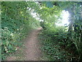 Pembrokeshire Coast Path heading west to Hundleton