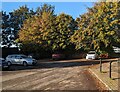 Autumn colours near Cam and Dursley station