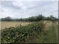 Pembrokeshire Coast Path