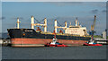 J3576 : The 'Eastern Daphne' at Belfast by Rossographer