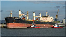 J3576 : The 'Eastern Daphne' at Belfast by Rossographer
