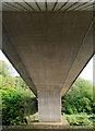 Under the A75 road bridge