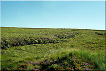 NB3943 : Moorland near Druim Roundogro by David Dixon