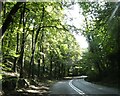 SK2175 : A623 in woodland, Middleton Dale by David Smith
