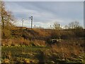 Chester Moor Nature Reserve