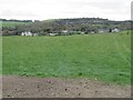 Pasture near Stabstane