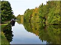 Autumn trees reflected in the Bridgewater Canal