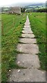 Paved footpath to Haylands Bridge and Pennine Way through sheep field