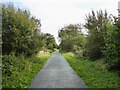 Cycle path following route of former railway