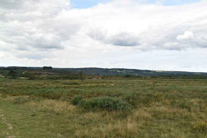 Ashdown Forest © N Chadwick :: Geograph Britain and Ireland
