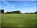 Sports Field in Newark