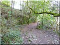 Terraced path in Buckden Clough