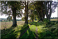 Track to the Cemetery from St Martins