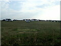 Campers and Caravans near Freshwater West