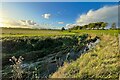 South Brook by Colesden Lodge Farm