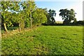 Footpath towards Roxton