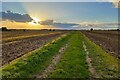 Track towards the sunset