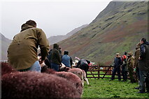 NY1808 : Wasdale Show 2023 by Peter Trimming