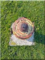 Greenham Common yellow hydrant top