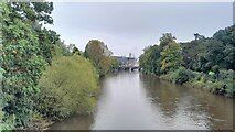 ST1776 : Cardiff, river Taff by Colin Prosser