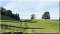 NZ0909 : Path through Barningham Park by Trevor Littlewood