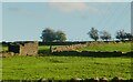 Small agricultural building seen from North Moor Lane, Kirkheaton