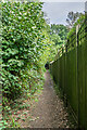 Path, Ashplats Wood