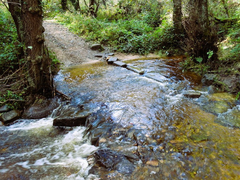 Overtopped Stepping Stones Crossing Neil Theasby Geograph Britain And Ireland