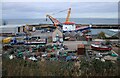 Looking down on the harbour