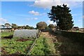 Footpath past Wandford Farm