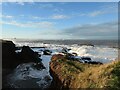 NT6779 : Coastal East Lothian : Rocky coast, Dunbar by Richard West