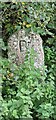 Old Boundary Marker beside the B3254