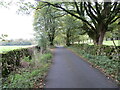 A wall and tree-lined Thorpe Lane approaching Threapland