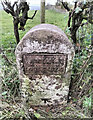 Old Milestone by the B723, Annan parish