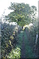 Footpath out of Biddenden