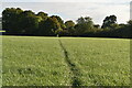 Footpath across field