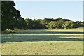 Low Weald pasture