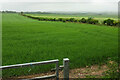 Farmland southwest of Poundbury