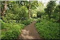 Footpath to Towers Road