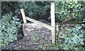 SO8807 : Stone Stile Catswood Farm near Stancombe, Bisley GS9351 by Cotswold Voluntary Wardens