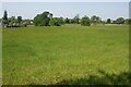 Farmland near Windlehurst