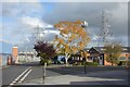 SO7947 : Autumn Leaves and Electric Stuff by Des Blenkinsopp