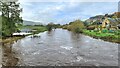 River Coquet at Rothbury