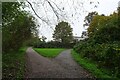 Junction on Foss Islands Path