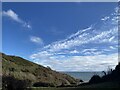 Gower coast above Brandy Cove