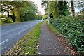 Footpath along Western Avenue