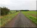  : Farm track betweern arable fields near Edingtonhill by Peter Wood