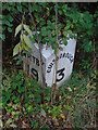 Old milepost