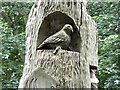 Pigeon carving close-up